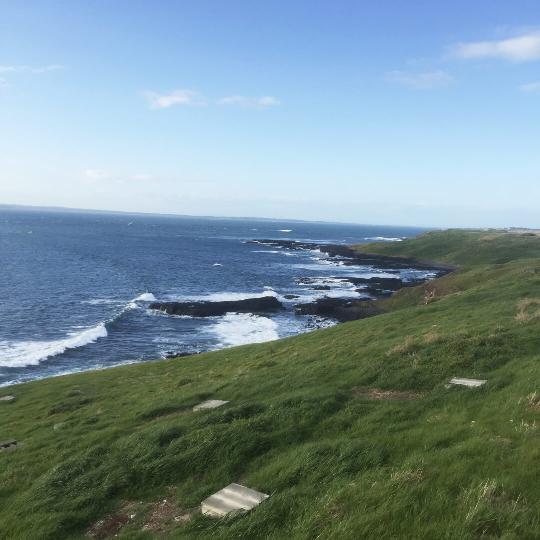 Phillip Island Tour Service in Melbourne